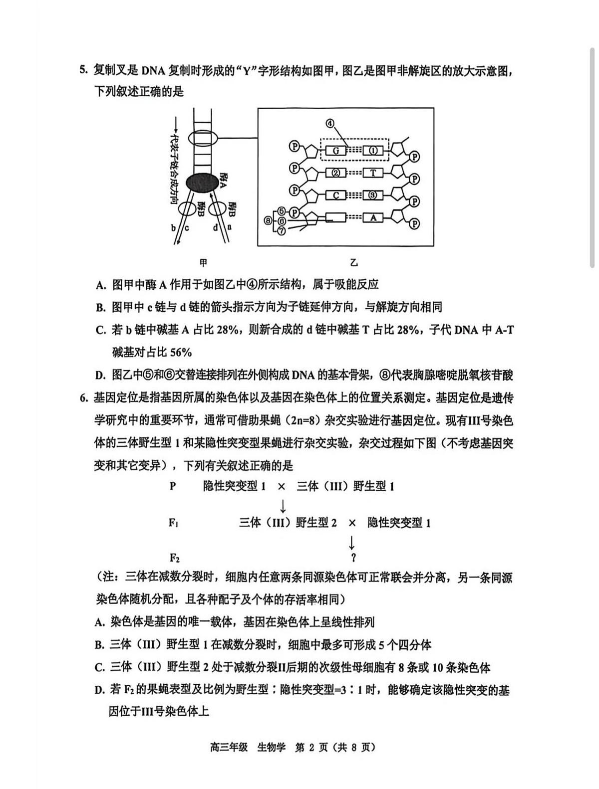 天津市河西区2025-2026学年高三上学期期末考试生物试卷第2页
