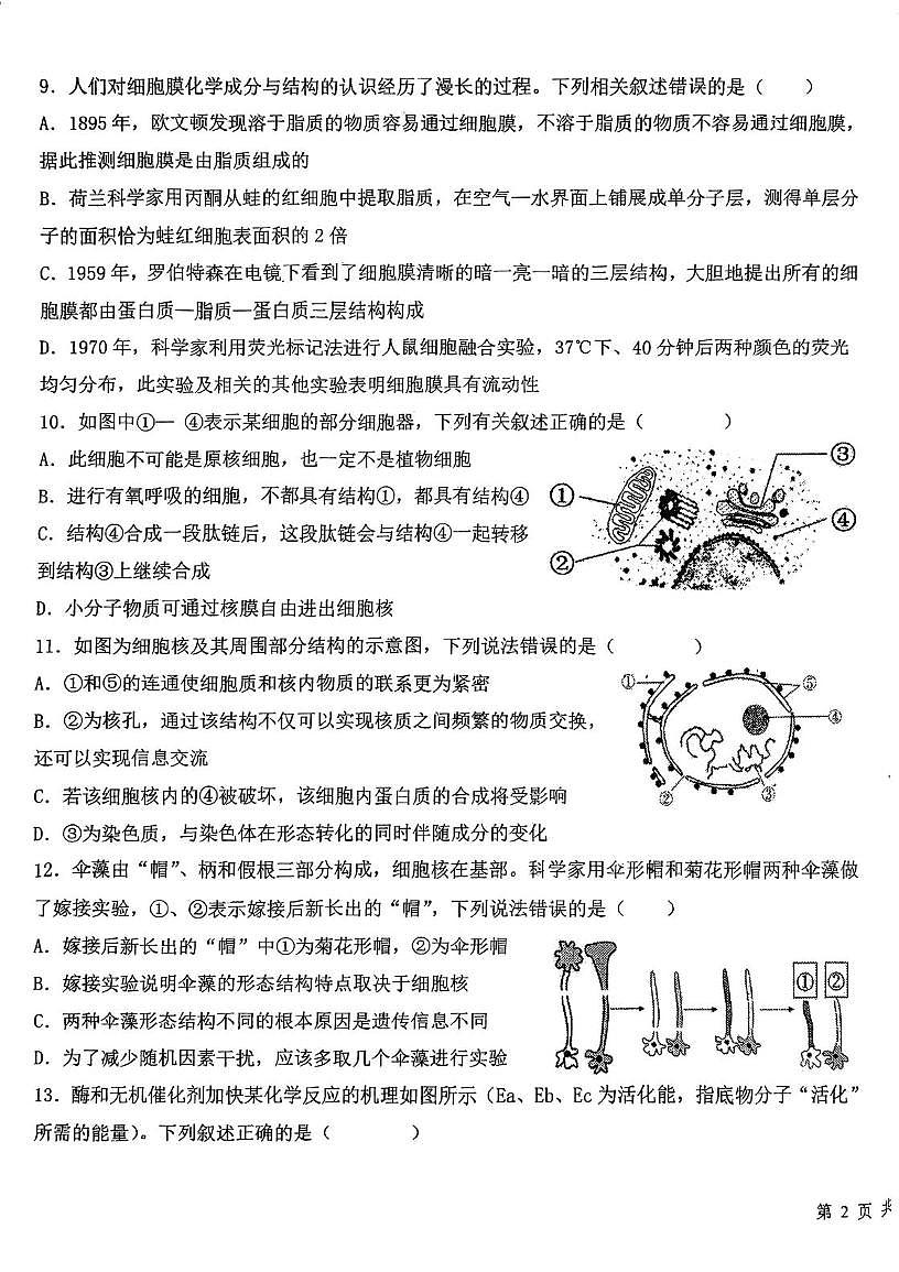 天津市第九十五中学2025-2026学年高一上学期第二次月考生物试题第3页