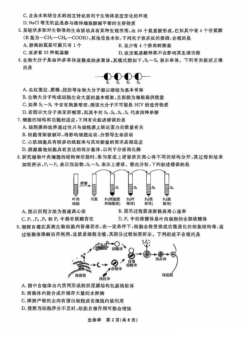辽宁省名校联盟普通高中2024-2025学年高一上学期12月月考生物试卷(无答案)第2页