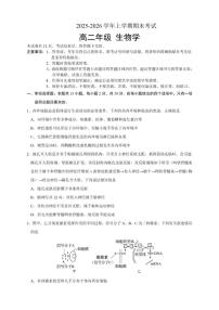 2025-2026学年吉林省长春外国语学校高二上学期期末考试生物试题（含答案）