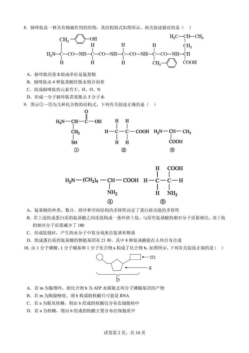 2025-2026学年四川省成都市第七中学高一上学期1月期末考试生物试题(含答案)第2页