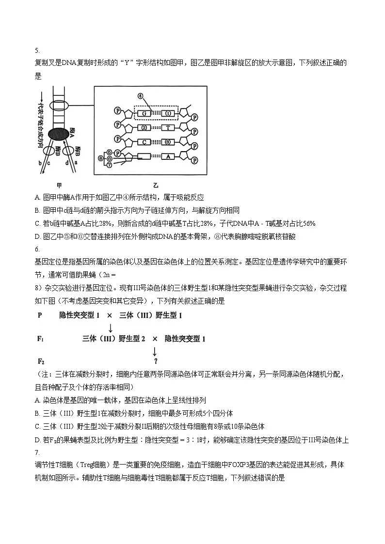 天津市河西区2025_2026学年高三上学期期末考试生物试卷(文字版,含答案)第2页