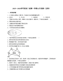 天津市第一〇二中学2025_2026学年高二上学期12月第二次月考生物试卷（文字版，含答案）