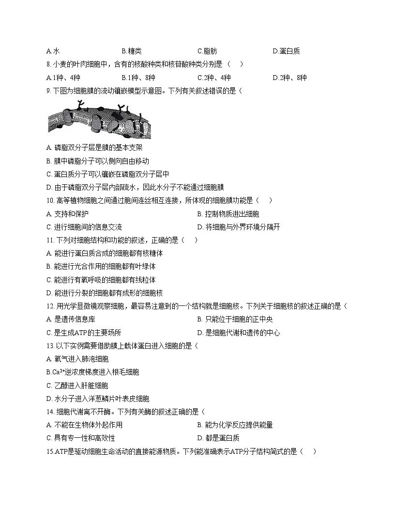 云南省2025年春季学期普通高中学业水平合格性考试生物学试卷(文字版,含答案)第2页