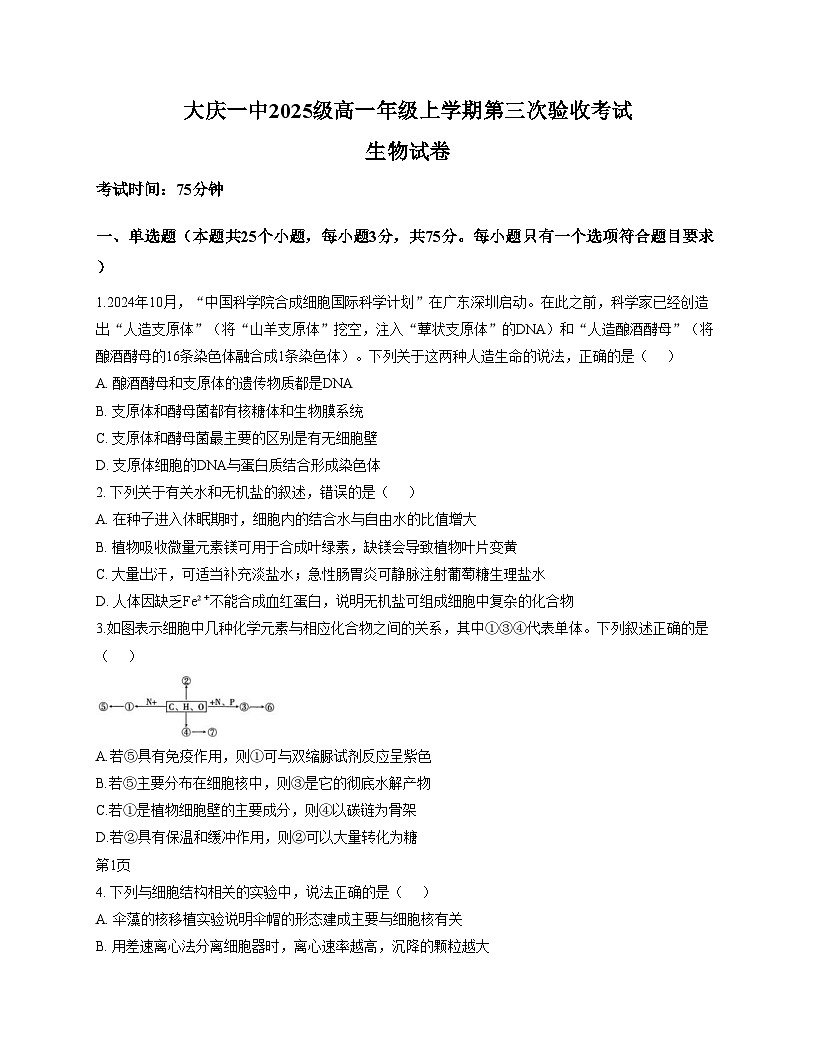 黑龙江省大庆第一中学2025_2026学年高一上学期第三次验收考试生物试卷(文字版,含答案)第1页