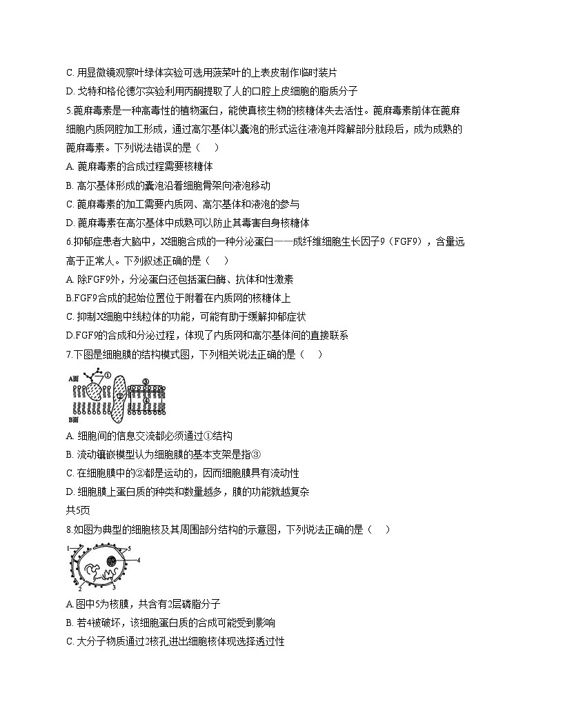 黑龙江省大庆第一中学2025_2026学年高一上学期第三次验收考试生物试卷(文字版,含答案)第2页