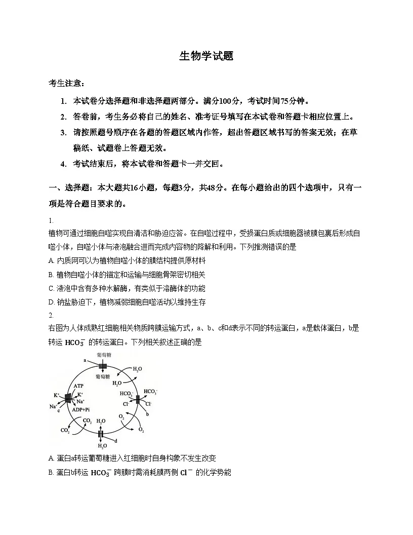 西北四省三重教育2025_2026学年高三上学期12月高考适应性考试生物试卷(文字版,含答案)第1页