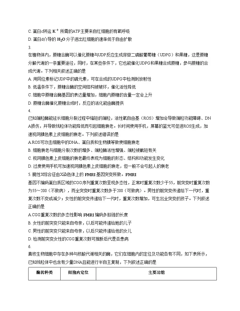 西北四省三重教育2025_2026学年高三上学期12月高考适应性考试生物试卷(文字版,含答案)第2页