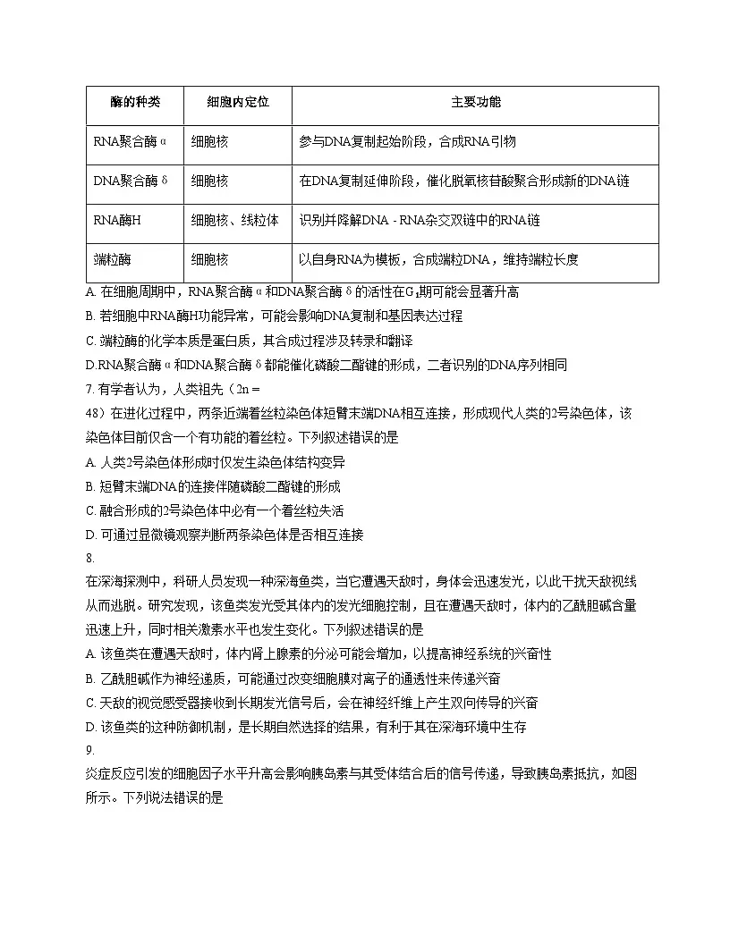 西北四省三重教育2025_2026学年高三上学期12月高考适应性考试生物试卷(文字版,含答案)第3页
