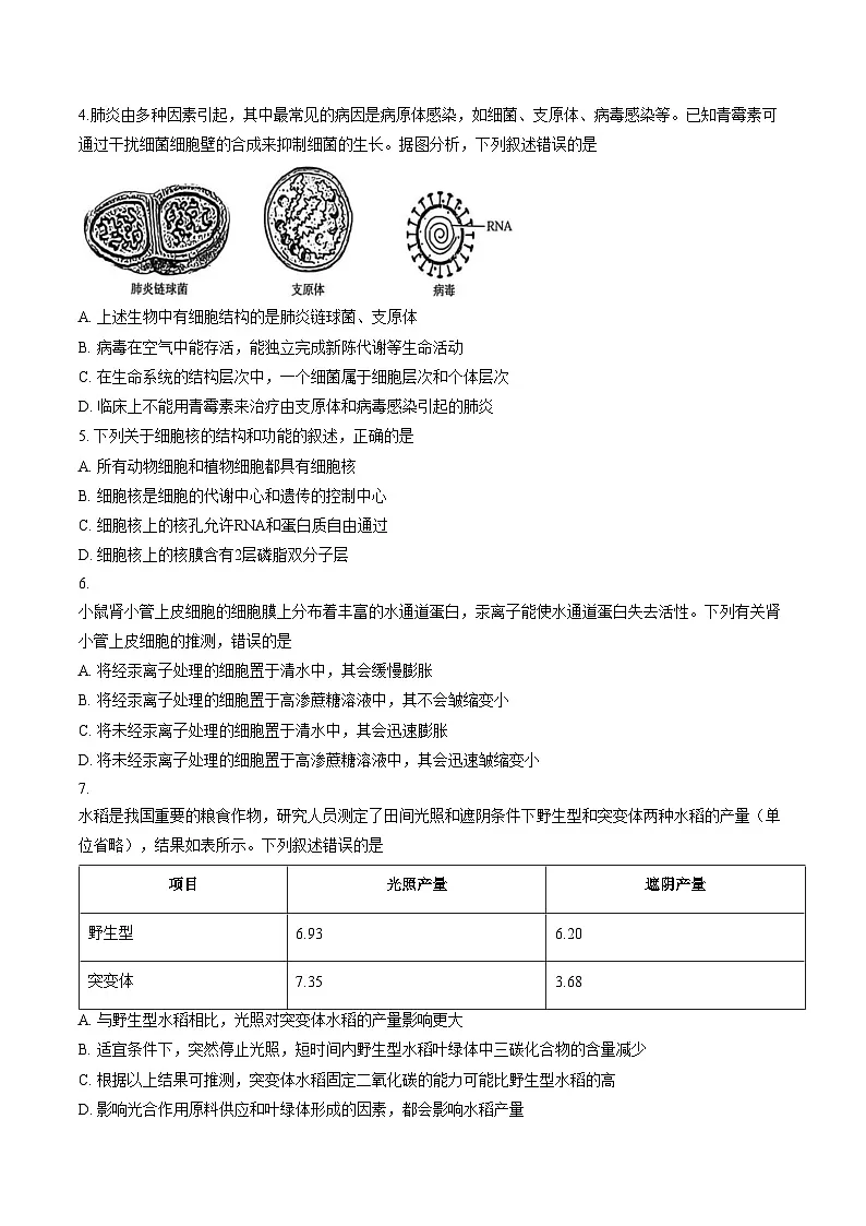 2026届云南省普洱市墨江哈尼族自治县墨江第二中学高三模拟预测生物试题(文字版,含答案)第2页