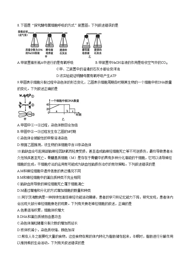 2026届云南省普洱市墨江哈尼族自治县墨江第二中学高三模拟预测生物试题(文字版,含答案)第3页