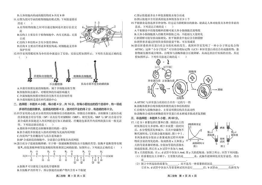 湖南省多校联考2024-2025学年高一上学期期中考试生物试题(无答案)第2页