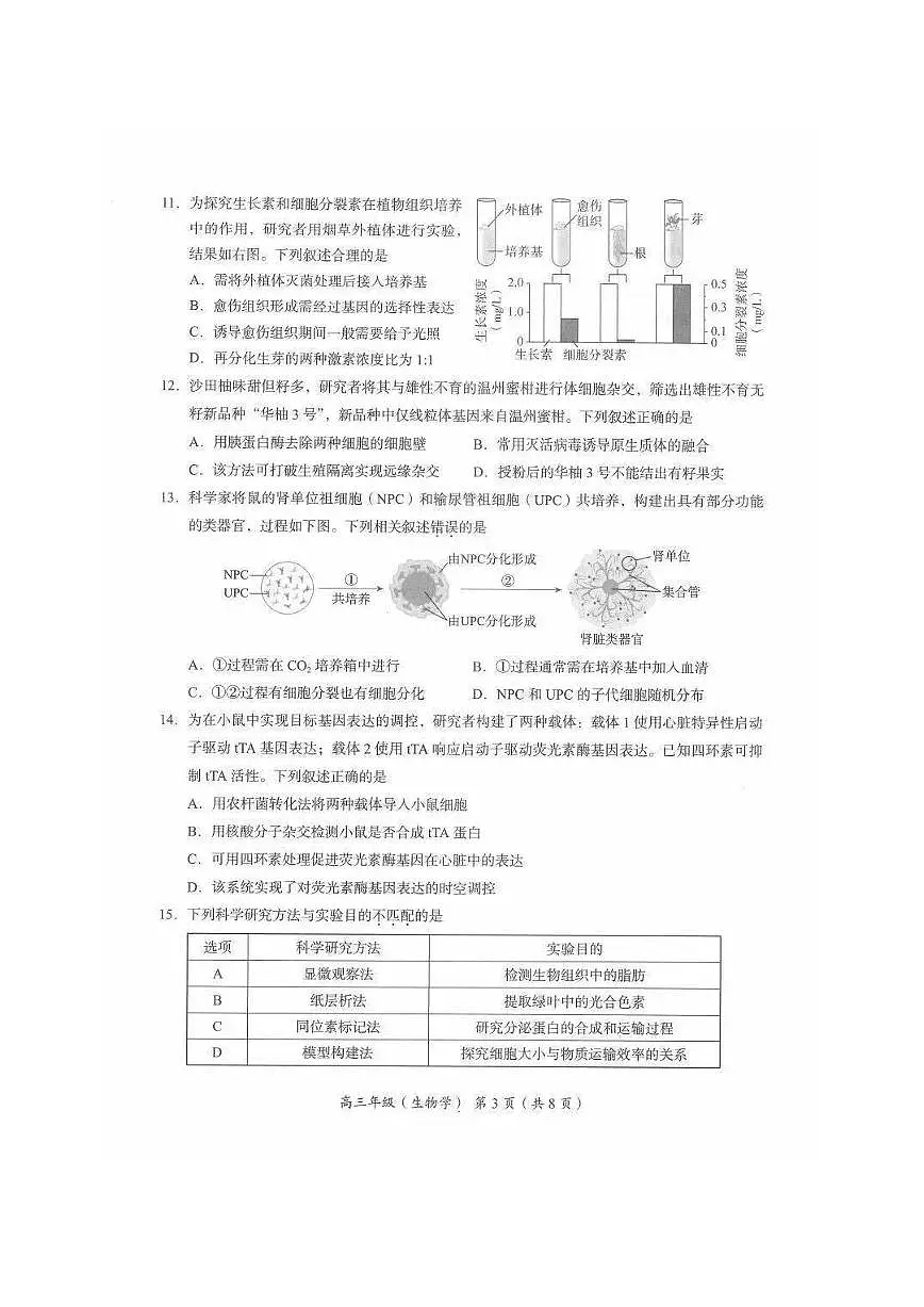 2026届高三上学期海淀期末考试生物试题试卷+答案第3页