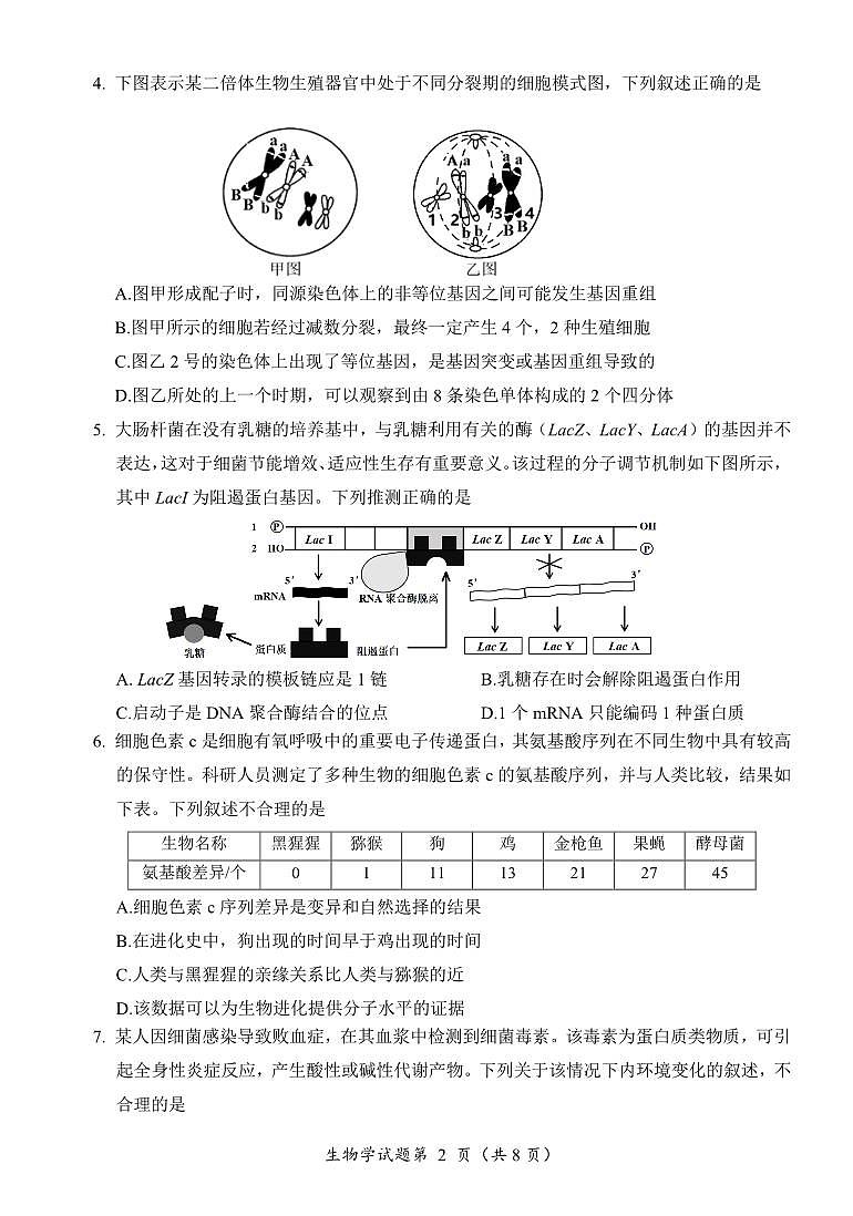 “元三上学期1月维大联考”2023级高三上学期1月第二次诊断考试生物试卷+答案第2页