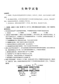 重庆市巴蜀中学2026届高三上学期1月高考适应性月考卷（六）生物试卷（PDF版附解析）