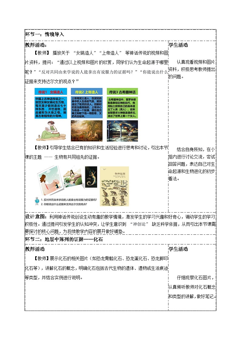 【同步授课教案】人教版高中生物必修二 遗传与进化第六章 6.1 生物有共同祖先的证据(表格版)第2页