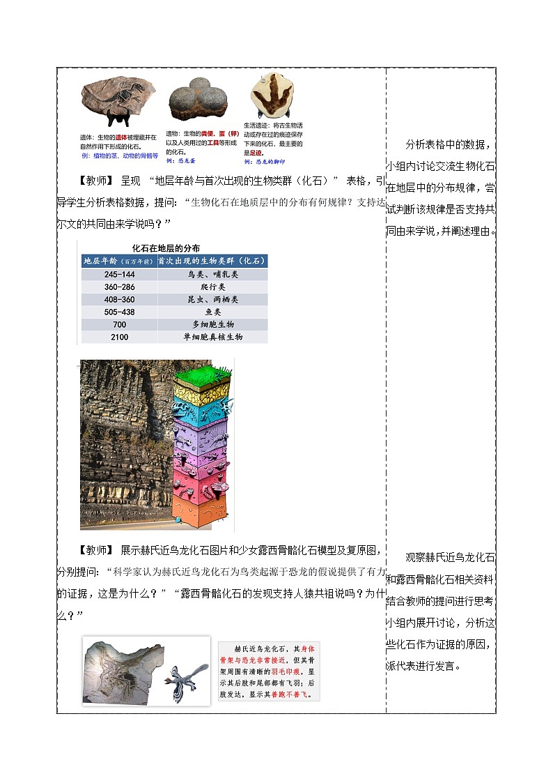 【同步授课教案】人教版高中生物必修二 遗传与进化第六章 6.1 生物有共同祖先的证据(表格版)第3页