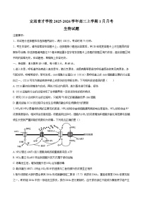 安徽省滁州市定远县育才学校2025-2026学年高三上学期1月月考生物试卷（Word版附答案）