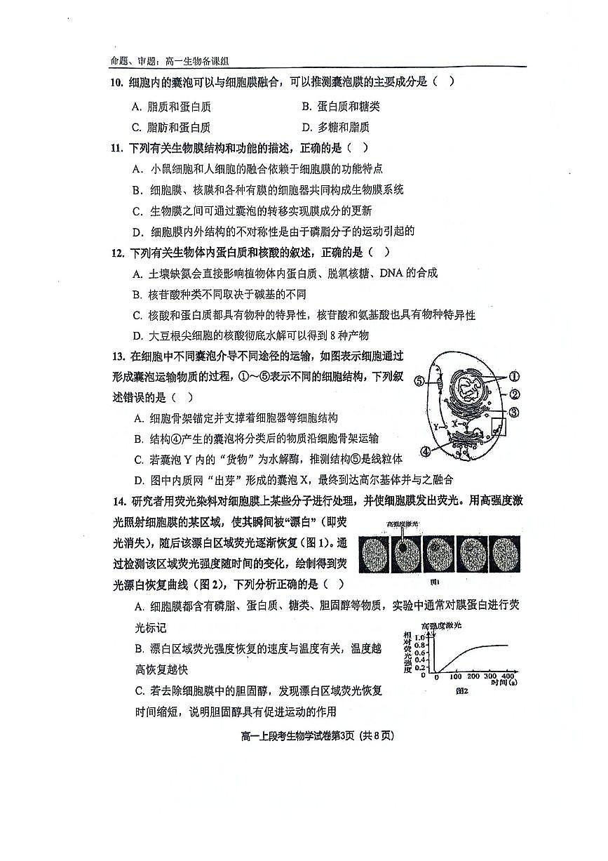 广西省南宁二中2024年高一上学期中考试生物试卷(无答案)第3页