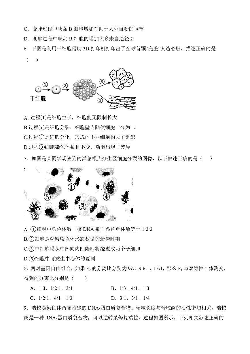 四川省达州市万源中学2024-2025学年高一下学期期中考试生物试题(无答案)第2页