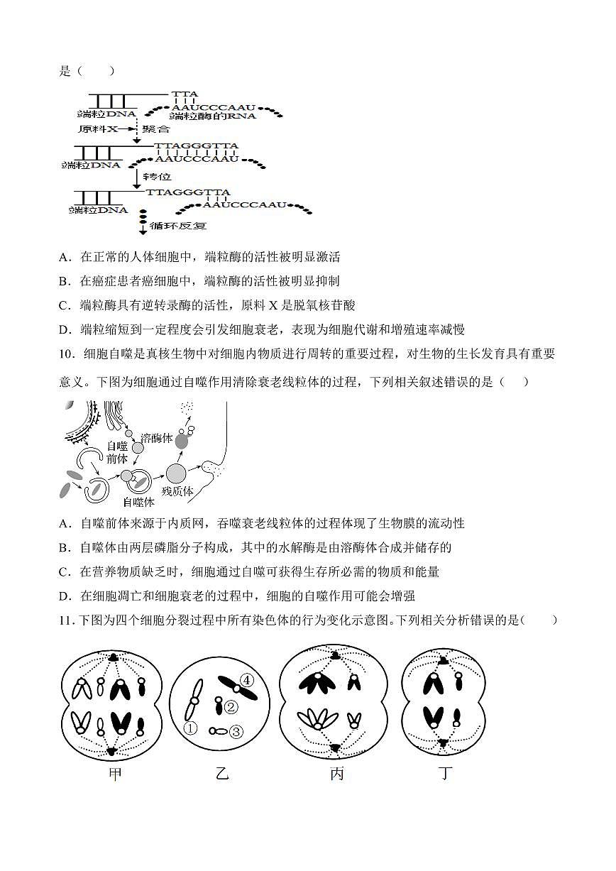 四川省达州市万源中学2024-2025学年高一下学期期中考试生物试题(无答案)第3页