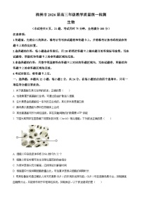 湖南省株洲市2026届高三上学期教学质量统一检测（一模）生物试题（Word版附解析）