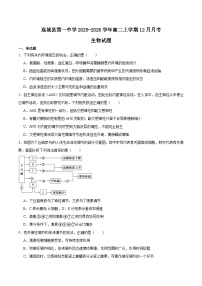 福建省连城县第一中学2025-2026学年高二上学期12月月考生物试卷（Word版附答案）