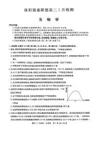 河南省洛阳市洛阳强基联盟2025-2026学年高二上学期1月月考生物试卷(无答案)
