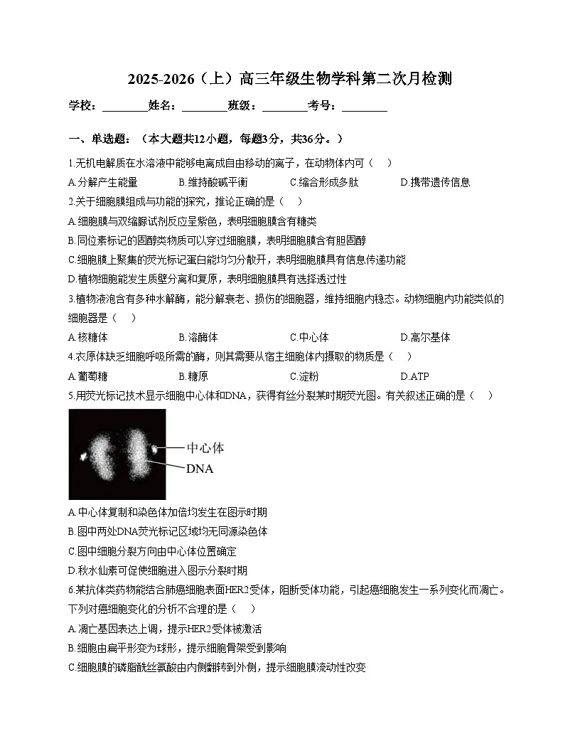 天津市和平区汇文中学2025_2026学年高三上学期第二次月考生物试卷(文字版,含答案)第1页