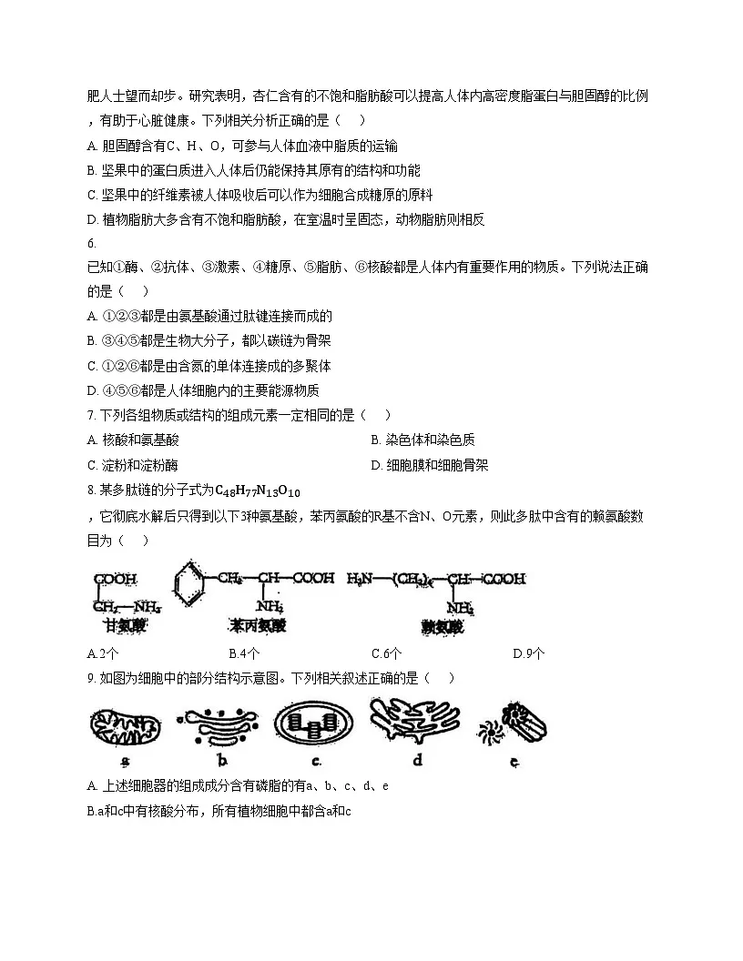 天津市南开区南开中学2025_2026学年高一上学期第二次质量检测生物试题(文字版,含答案)第2页