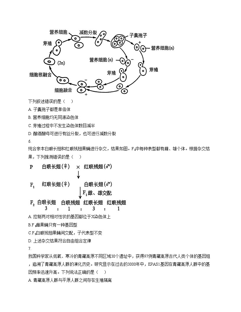 北京市西城区十五中2025_2026学年高三上学期12月月考生物试题(文字版,含答案)第2页