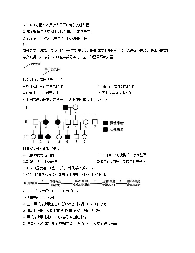 北京市西城区十五中2025_2026学年高三上学期12月月考生物试题(文字版,含答案)第3页