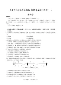 贵州省名校协作体2024-2025学年高二上学期12月联考(一)生物试卷(无答案)