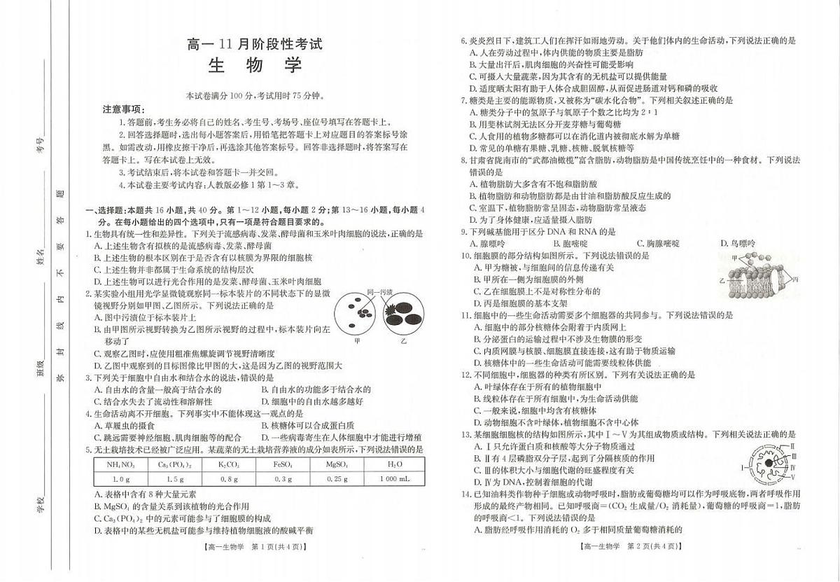 广西金太阳名校联盟2024-2025学年高一上学期11月期中教学质量检测生物试题(无答案)第1页