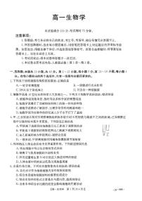 广东省湛江市2023-2024学年高一上学期11月期中生物试题（无答案）