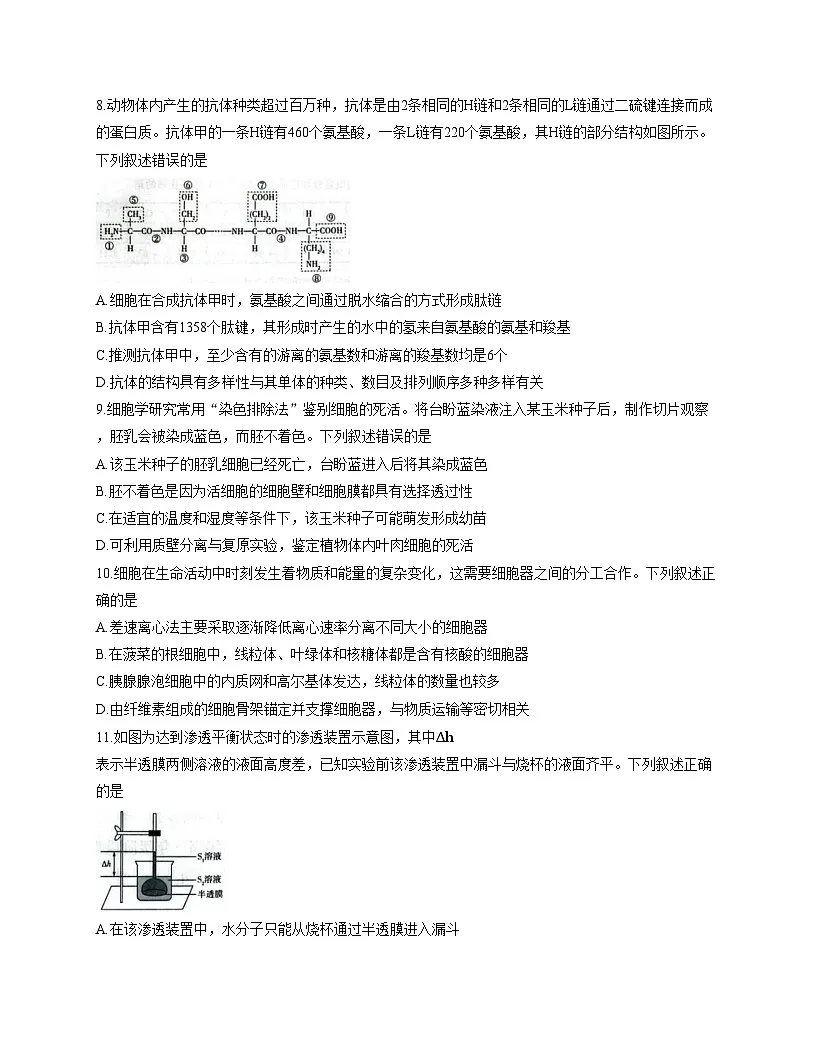 海南省儋州市第二中学2025_2026学年高一上学期12月月考生物试题(文字版,含答案)第3页