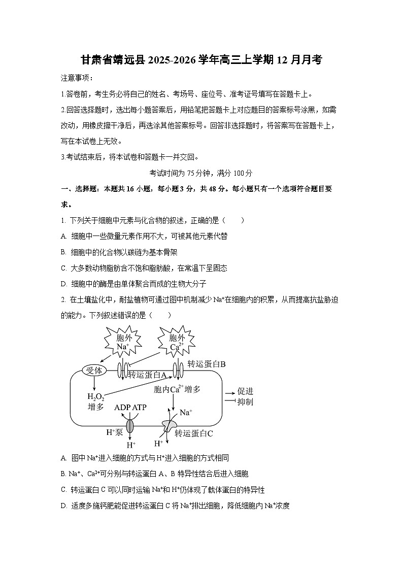 【生物】甘肃省靖远县2025-2026学年高三上学期12月月考(学生版)第1页