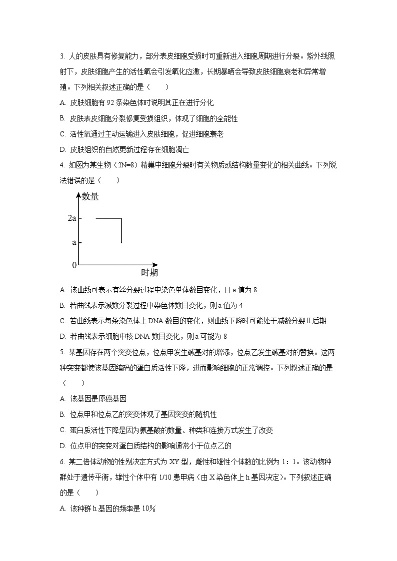 【生物】甘肃省靖远县2025-2026学年高三上学期12月月考(学生版)第2页