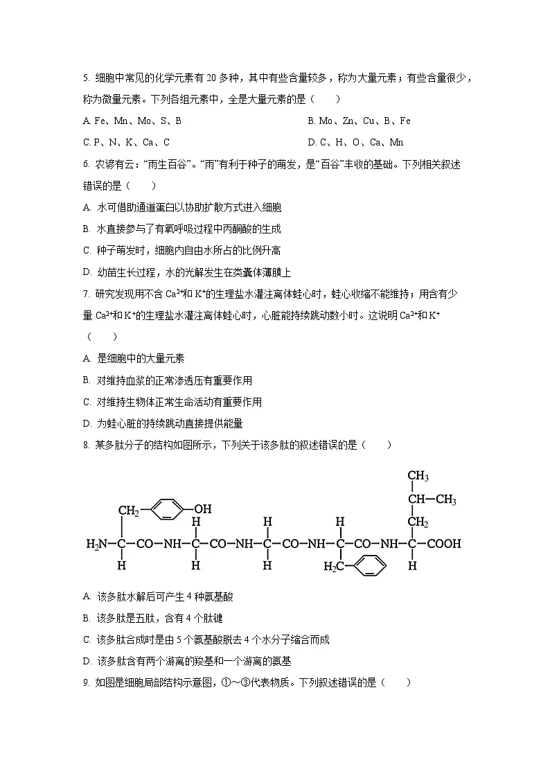 【生物】甘肃省兰州市新区多校2025-2026学年高一上学期期末考试试卷(学生版)第2页