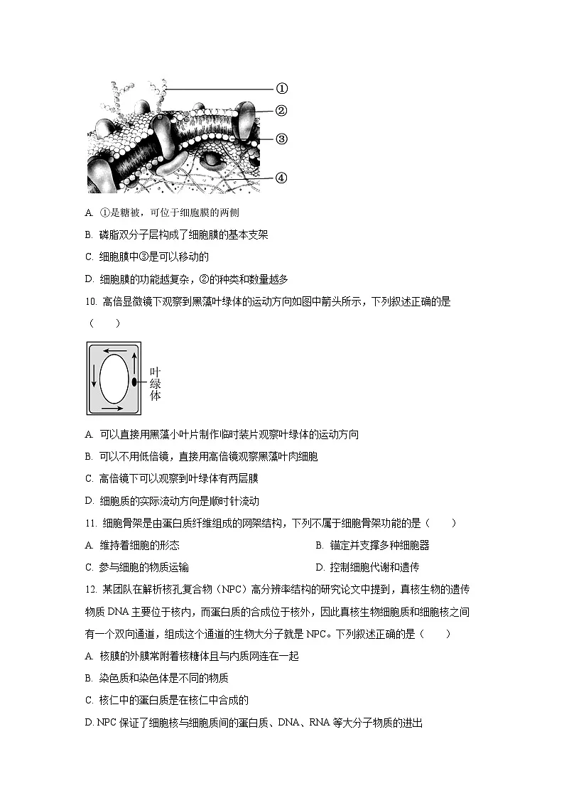 【生物】甘肃省兰州市新区多校2025-2026学年高一上学期期末考试试卷(学生版)第3页