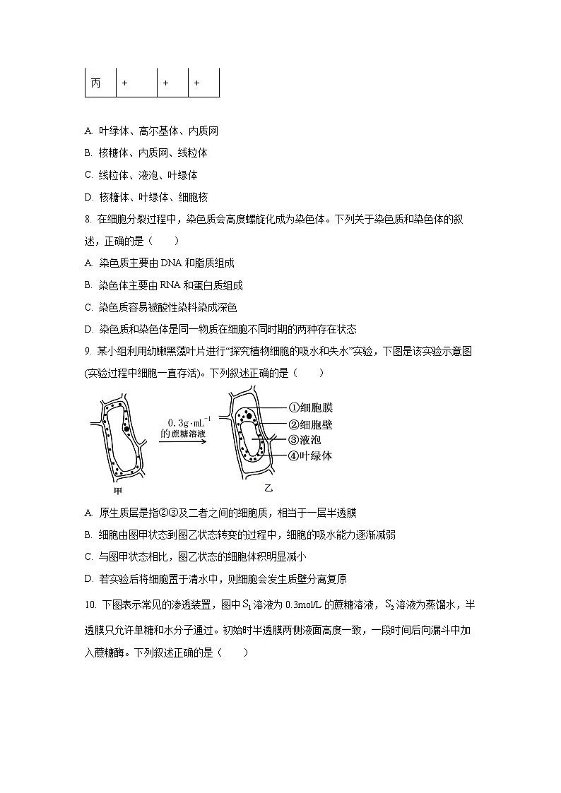 【生物】甘肃省联考2025-2026学年高一上学期1月期末试题(学生版)第2页