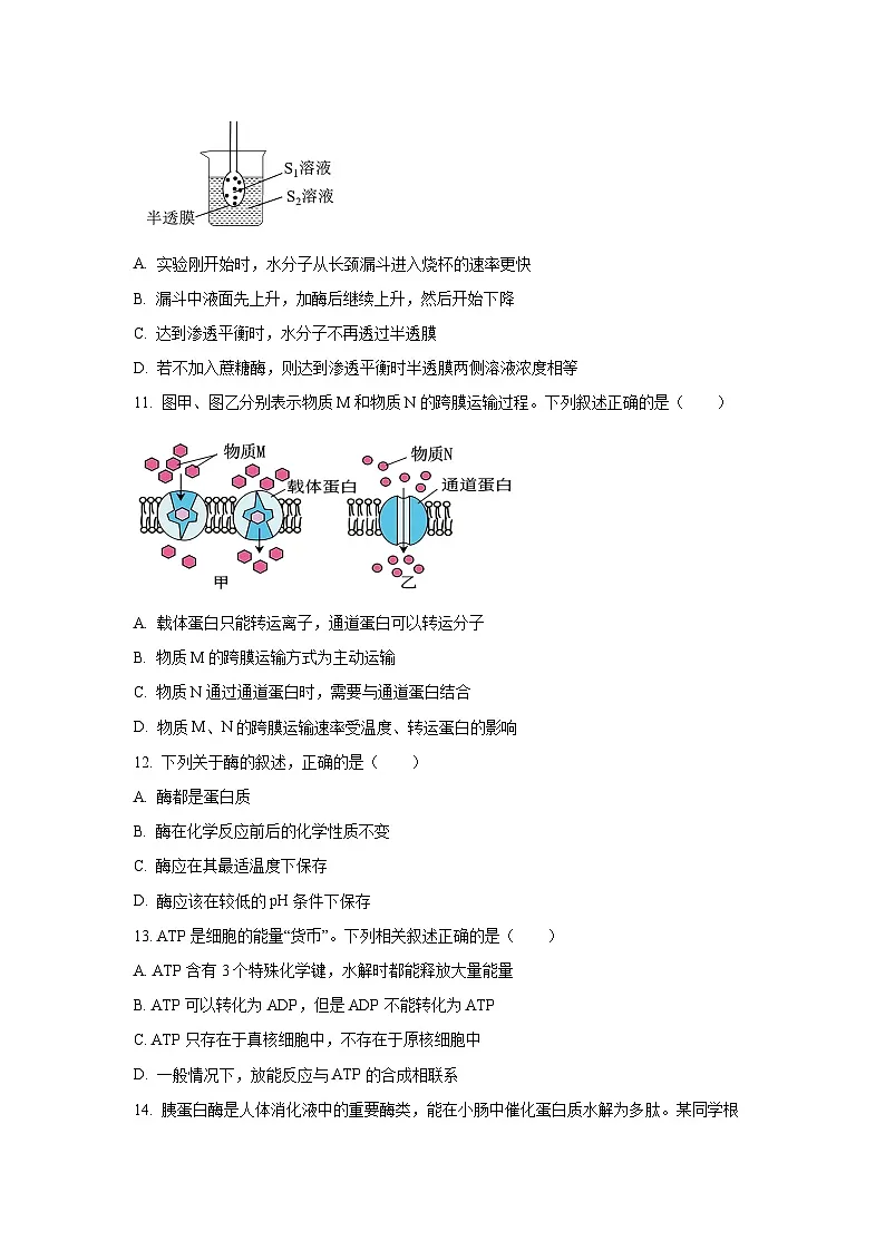 【生物】甘肃省联考2025-2026学年高一上学期1月期末试题(学生版)第3页