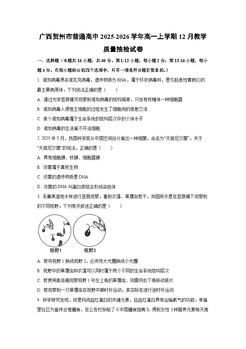 【生物】广西贺州市普通高中2025-2026学年高一上学期12月教学质量抽检试卷(学生版)第1页