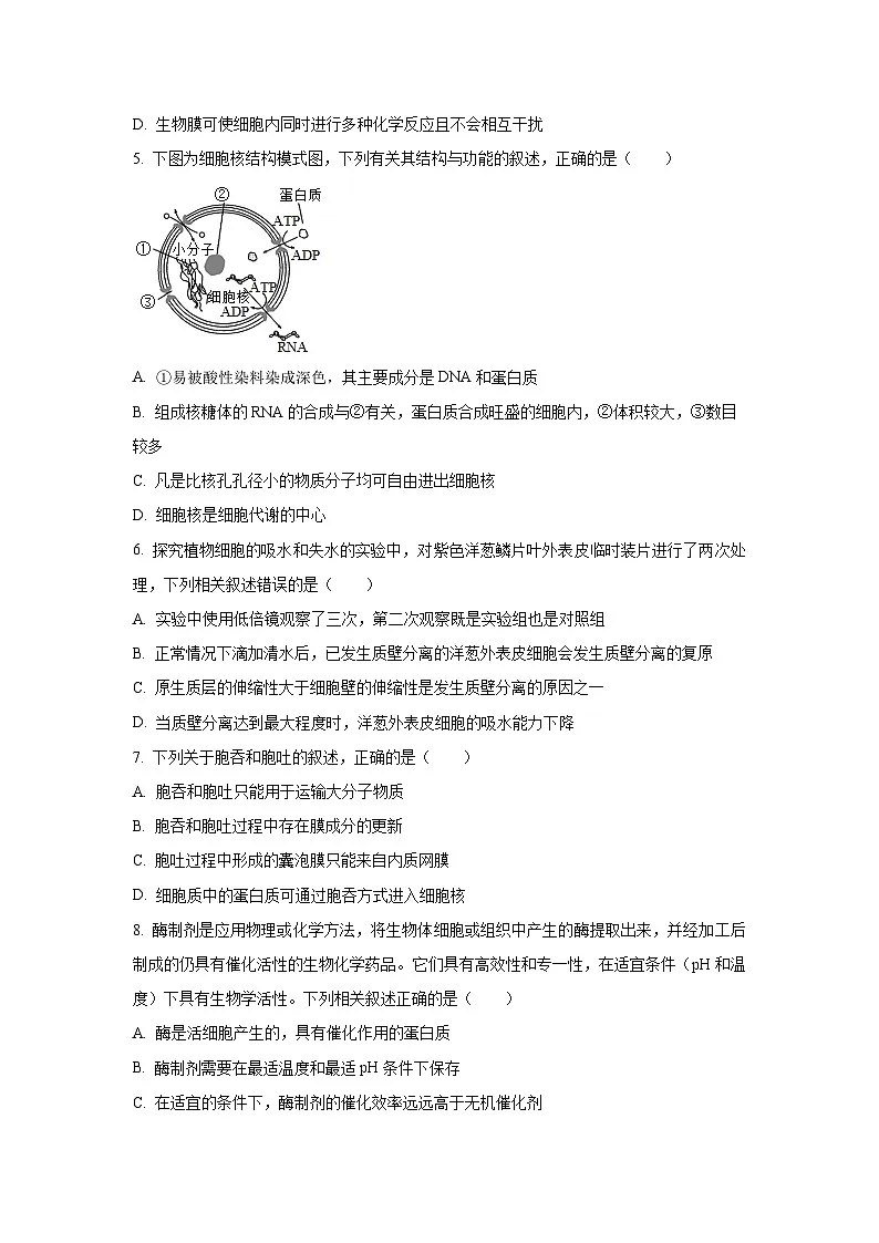 【生物】黑龙江省齐齐哈尔市2025-2026学年高一上学期1月期末试题(学生版)第2页