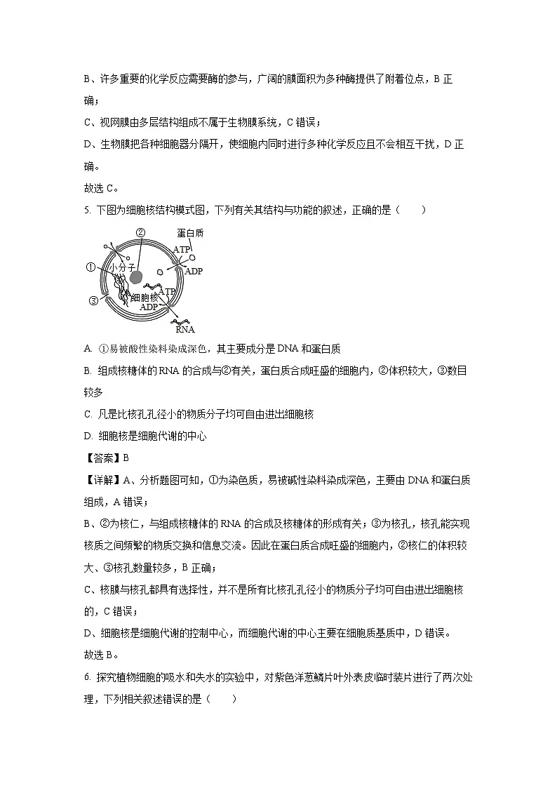 【生物】黑龙江省齐齐哈尔市2025-2026学年高一上学期1月期末试题(解析版)第3页