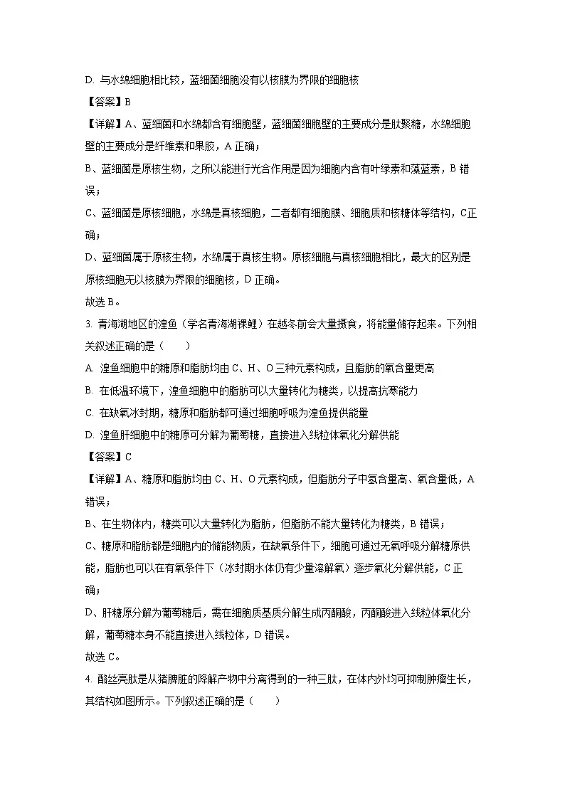 【生物】青海省海东市联考2025-2026学年高一上学期1月期末试题(解析版)第2页