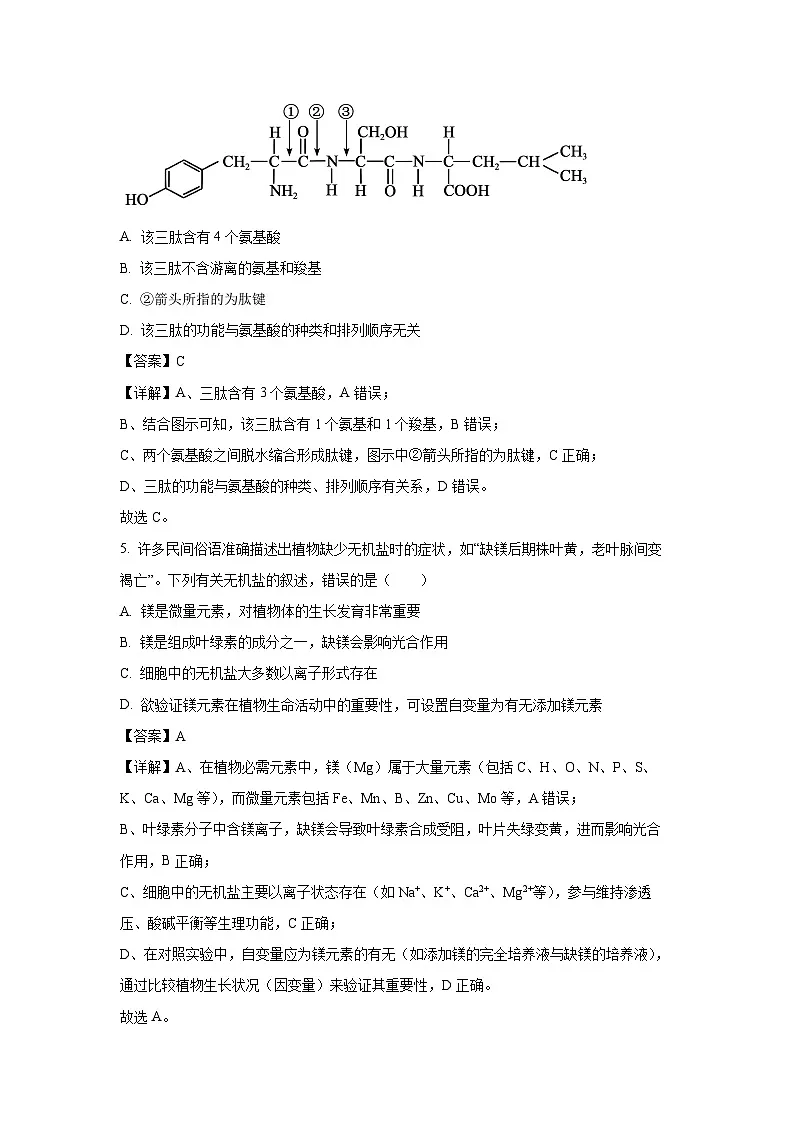 【生物】青海省海东市联考2025-2026学年高一上学期1月期末试题(解析版)第3页
