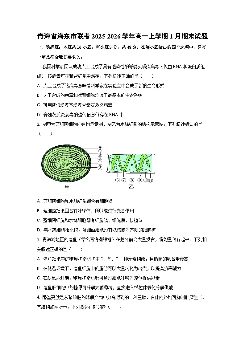 【生物】青海省海东市联考2025-2026学年高一上学期1月期末试题(学生版)第1页