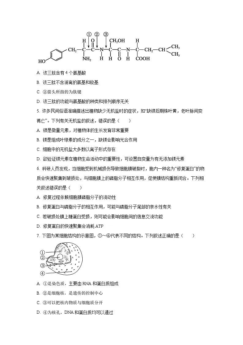 【生物】青海省海东市联考2025-2026学年高一上学期1月期末试题(学生版)第2页