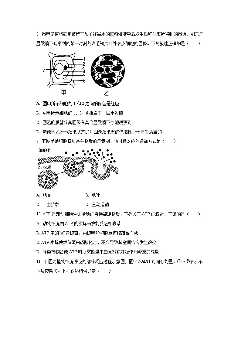 【生物】青海省海东市联考2025-2026学年高一上学期1月期末试题(学生版)第3页